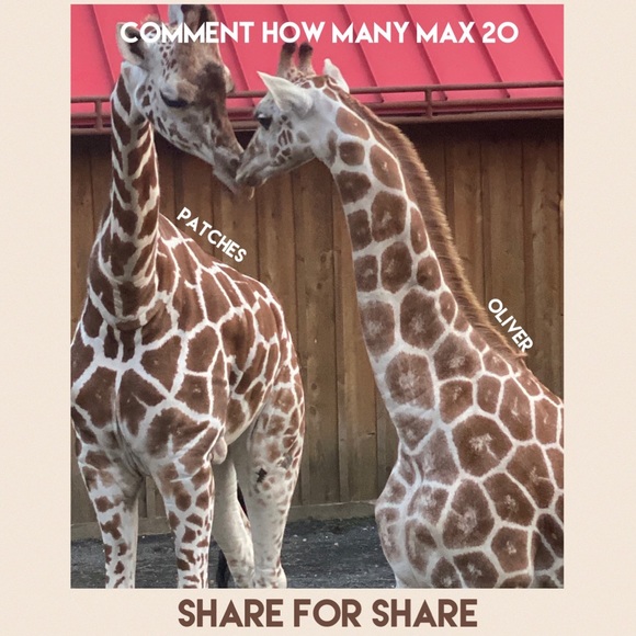 Please do not sure while closet is on vacation! - Picture 1 of 1